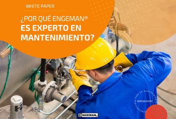 engeman experto en mantenimiento - White Paper